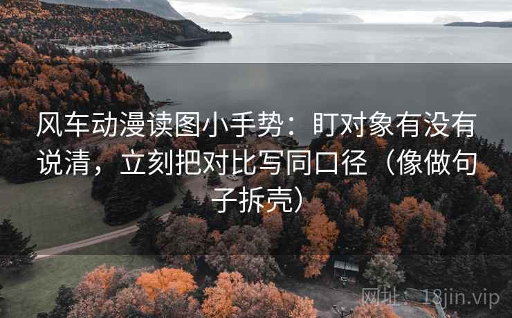 风车动漫读图小手势:盯对象有没有说清,立刻把对比写同口径(像做句子拆壳)