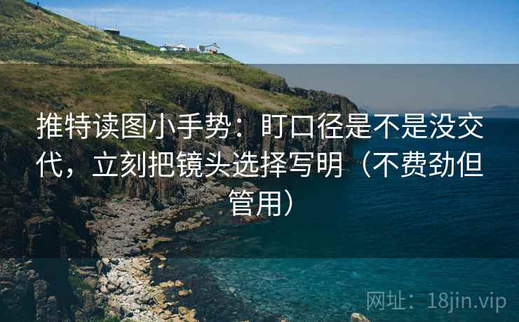 推特读图小手势：盯口径是不是没交代，立刻把镜头选择写明（不费劲但管用）  第2张